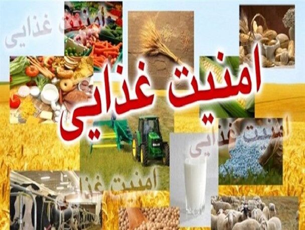 طرح تقویت امنیت غذایی خلاء‌های قانونی حوزه کشاورزی را برطرف می‌کند