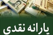 انتخاب ساز و کار یارانه نقدی برای تضمین معیشت مردم بود/ کالا برگ فساد زا است