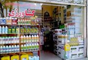 راه اندازی ۳ هزار فروشگاه برای عرضه تخصصی محصولات کشاورزی در کشور