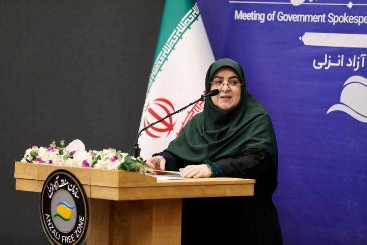تاکید مهاجرانی بر لزوم تمرکز بر انرژی‌های تجدیدپذیر برای جلوگیری از قطعی برق