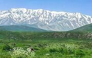 صندوق مالی ویژه برای حفاظت از جنگل های زاگرس تاسیس شود