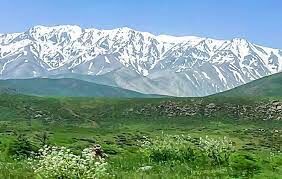 صندوق مالی ویژه برای حفاظت از جنگل های زاگرس تاسیس شود