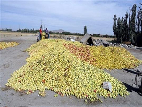 بخشودگی و امهال تسهیلات بخش کشاورزی خسارت‌دیده از حوادث غیرمترقبه