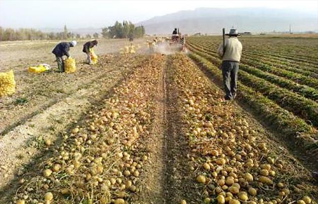 صادرات خدمات فنی مهندسی آب و خاک ایران به ۱۹ کشور