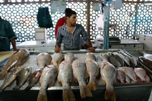 عرضه مستقیم ماهی شب عید از ۲۴ اسفند